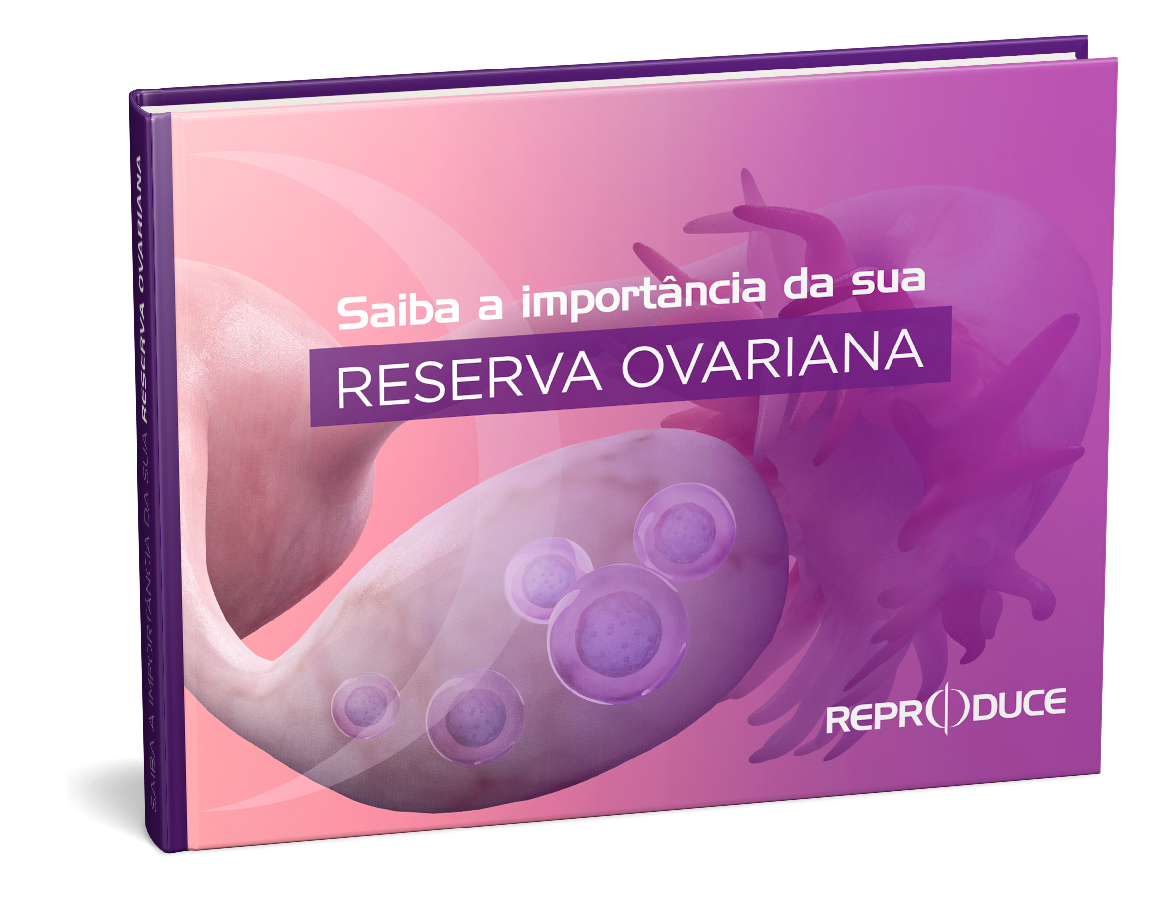 Ooforectomia e Ooforoplastia: causas e tratamentos